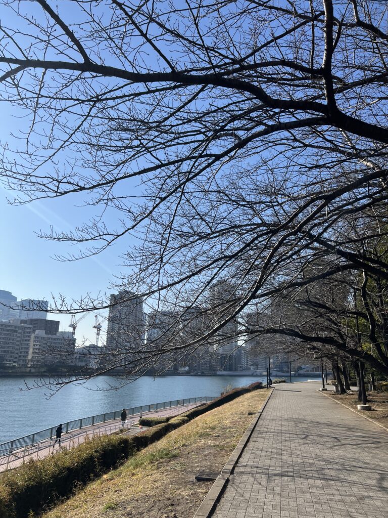 隅田川テラ朝散歩